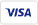 Visa Payment Icon